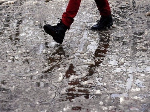 Фото: http://img.myslo.ru/ <p>Фото: http://img.myslo.ru/</p>