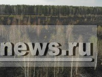 Под Тверью горел лес рядом с военным аэродромом  - Новости ТИА