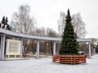 В Твери в парке Победы началась подготовка к новогодним праздникам - Новости ТИА