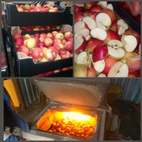 В Твери сожгли 133 кг яблок - Новости ТИА