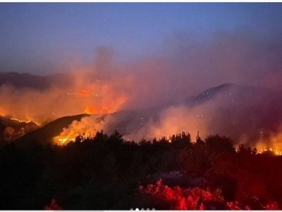 "Хочется выть от бессилия": тверичанка рассказала о пожарах в Турции - новости ТИА