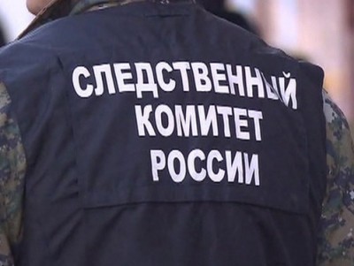 В Тверской области следователи выясняют, нападала ли собака на ребенка - Новости ТИА