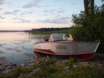В Тверской области гибнет уникальное озеро с краснокнижными растениями - новости ТИА