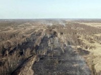 В Тверской области до 20 мая введён запрет на разведение костров в лесу и сжигание мусора  - Новости ТИА