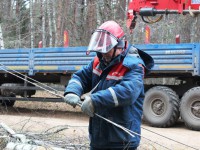 В Тверьэнерго приступили к выполнению ремонтной программы-2020  - Новости ТИА