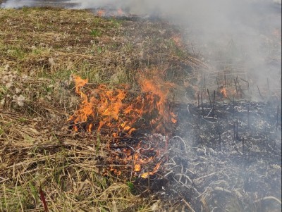В Тверской области начала гореть сухая трава - новости ТИА