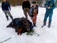 В Тверской области охотники и спасатели вытащили из проруби лосиху - Новости ТИА
