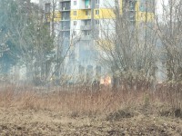 За выходные пожарные в Тверской области 119 раз выезжали тушить траву - Новости ТИА