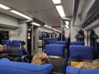 Несколько поездов "Ласточка" отменили до конца апреля - новости ТИА