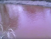 В Твери технический ручей ТЭЦ-3 окрасился в бордовый цвет - Новости ТИА