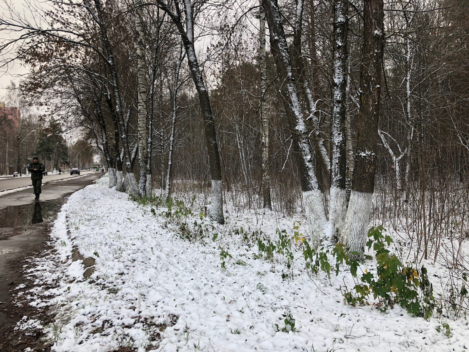 Первый снег слушать. Тверь первый снег. Серая Весна со снегом в городе. Заснеженная Тверь. Первый снег в Туле.