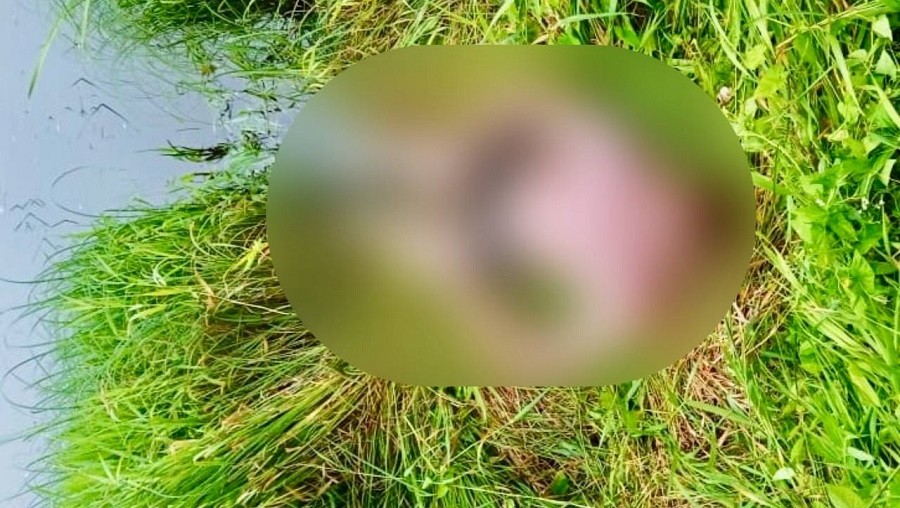 Фото МЧС по Тверской области Фото МЧС по Тверской области