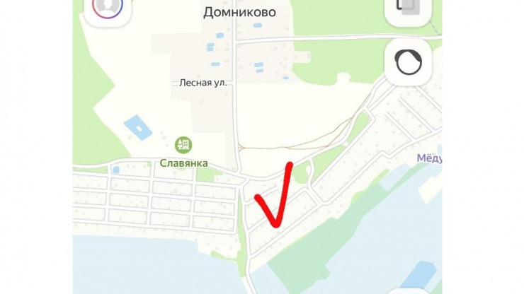 Под Тверью наркоманы перекапывают лес в поисках зелья - народные новости ТИА
