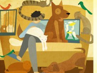 Кошка Сандра и кот цвета "гавана", Филя - новые участники конкурса "Котопёс" - новости ТИА